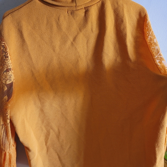 Plus Size High Neck Lace Bishop Sleeve Top - Picture 4 of 9